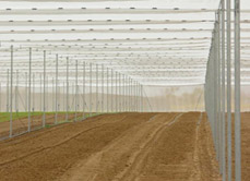 Connectors for Net houses - vegetables